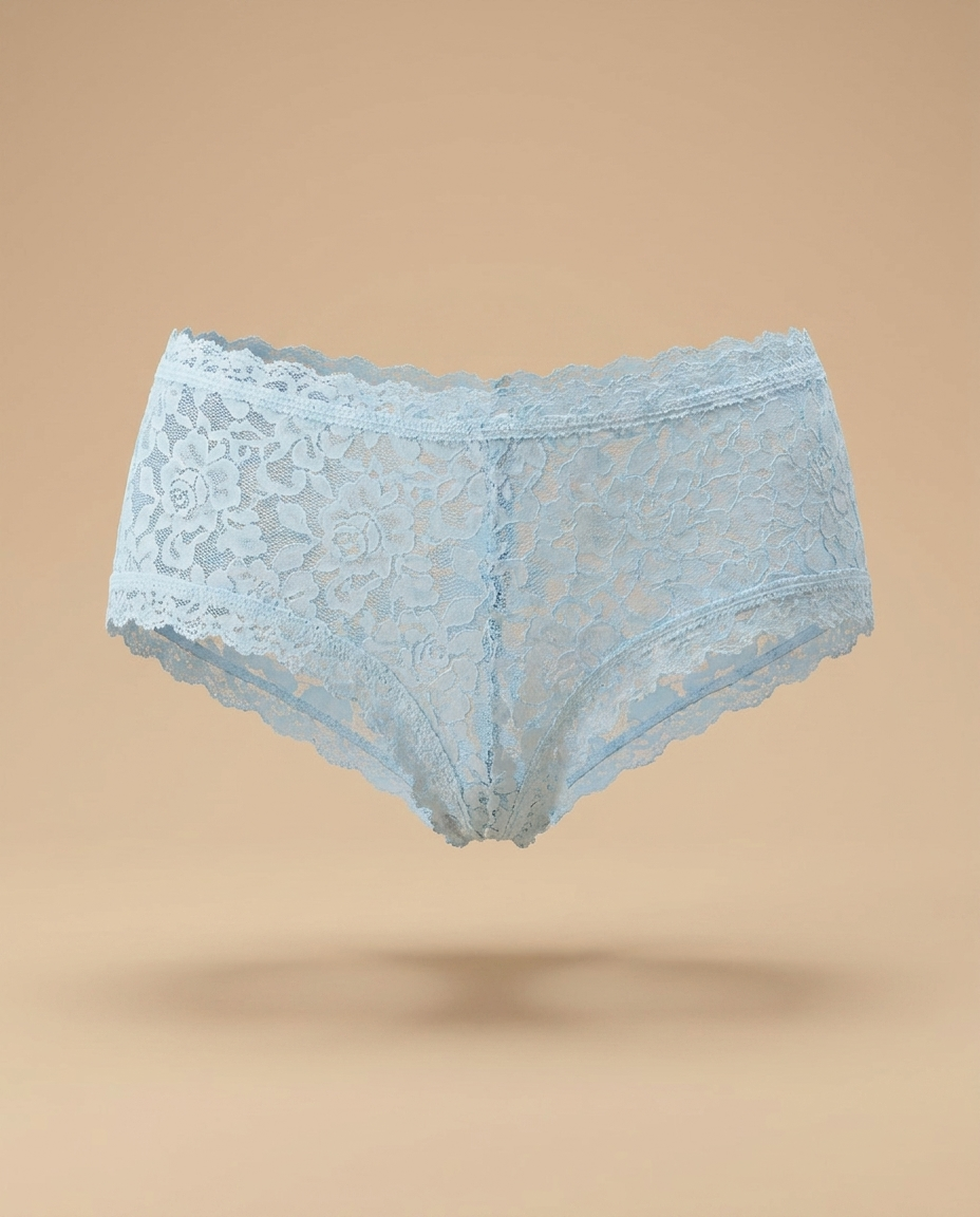 Hanky Panky Hipster Lace