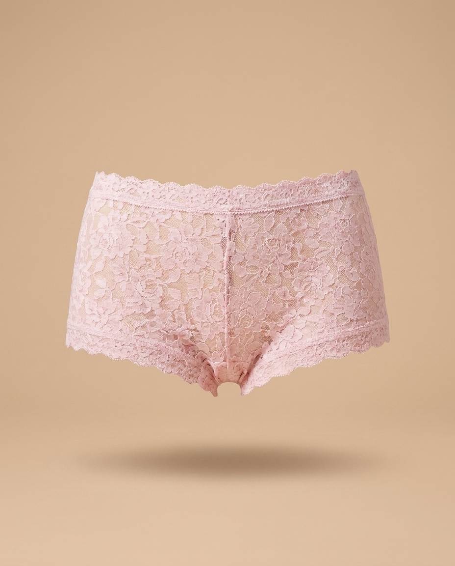 Hanky Panky Hipster Lace